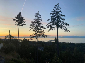 Winchelsea Views